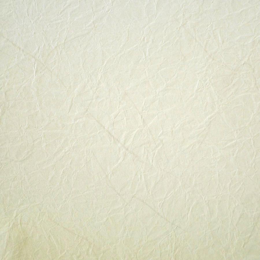 業者様必見！】襖紙 ふすま紙 新鳥の子紙 総柄703｜96×203cm 50枚