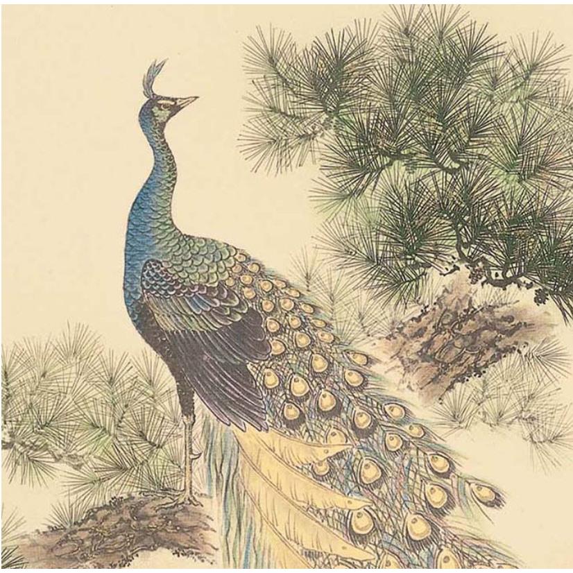 どっしりたとした台　孔雀貝模様 ふすま紙 襖紙 (朱雀(すじゃく)第11集) No.157 (サイズ95×203cm) 4枚1