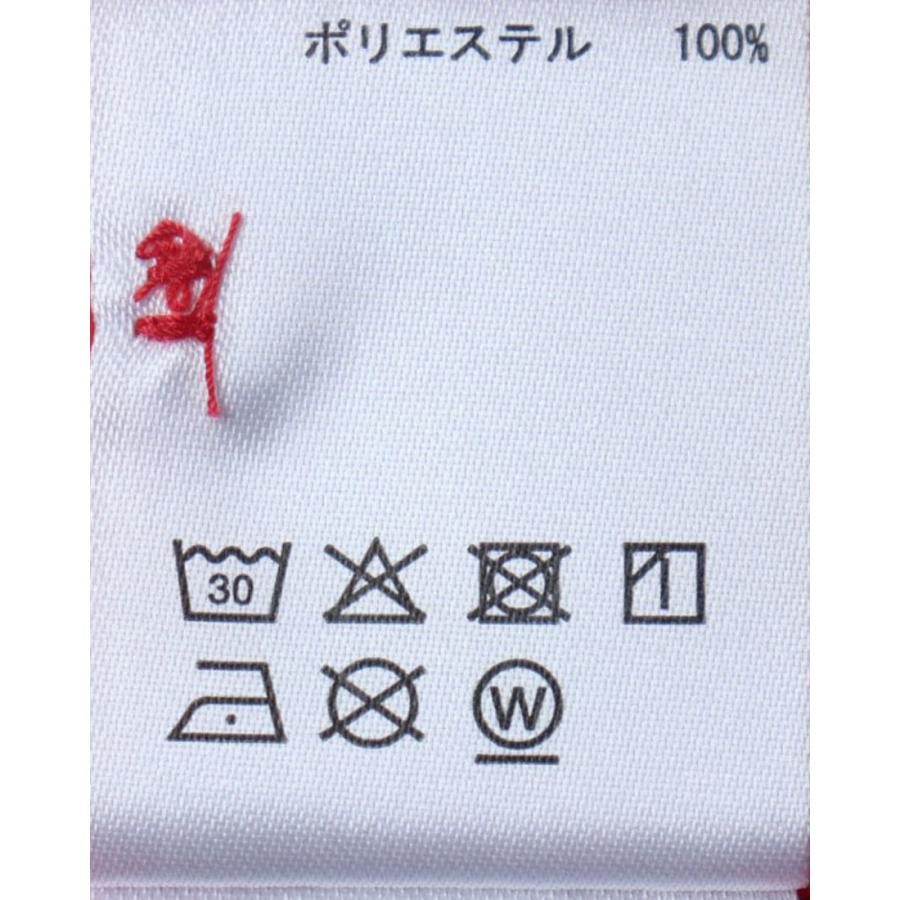 DESCENTE 公式 デサント ベースボールシャツ 吸汗 速乾 メンズ