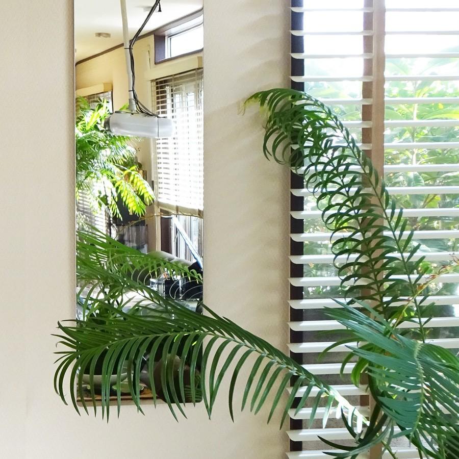 【値下済み】アクリルミラー　あんしんミラー　DXL Amazon.co.jp: エージ あんしんミラー 日本製 アクリルミラー