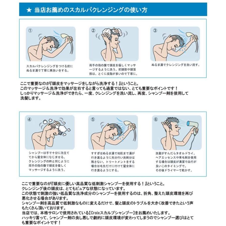 お歳暮 ベル クール研究所 スカルパ クレンジング 110ml 3本セット サロン店販品 頭皮用クレンジング剤 頭皮の臭い 脂性 フケに 毛穴の汚れに 最高の Atempletonphoto Com