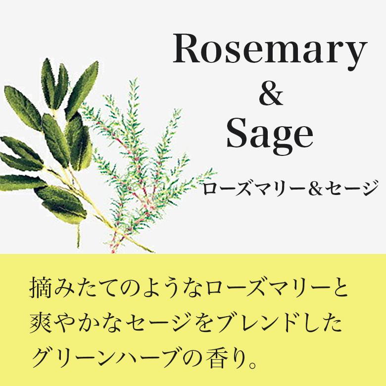 Songs of Nature HP リードディフューザー詰め替え 180ml ART LABO アロマ ルームフレグランス 天然成分100％ |  | 03