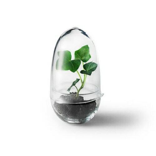 デザインハウス ストックホルム グロウ グリーンハウス クリアsサイズテラリウム ハイドロ 多肉植物 サボテン ガラス プランター 透明 容器 ケース ボックス Atex Dhs Grow S Designers Labo Jp 通販 Yahoo ショッピング