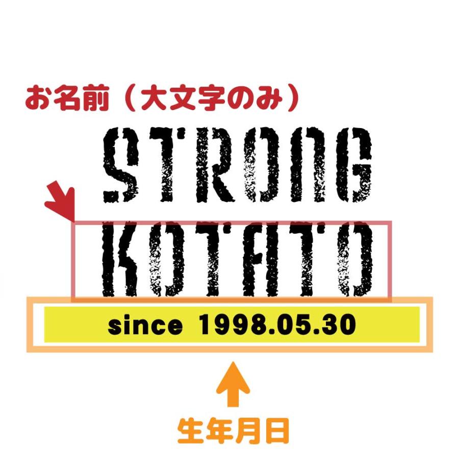 パロディ Tシャツ お酒ロゴ ストロングゼロ 風 チューハイ 3l 4l お酒デザインb O2 T005 B デザインジャンクション 通販 Yahoo ショッピング