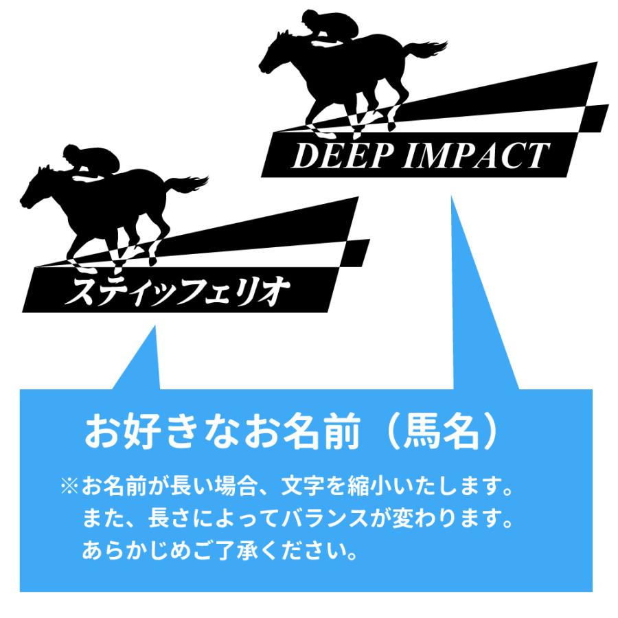 競馬 Tシャツ 名入れ 記念品 (競馬）馬 ウマ 名馬 半袖 ギフト プレゼント サプライズ 誕生 |  | 02