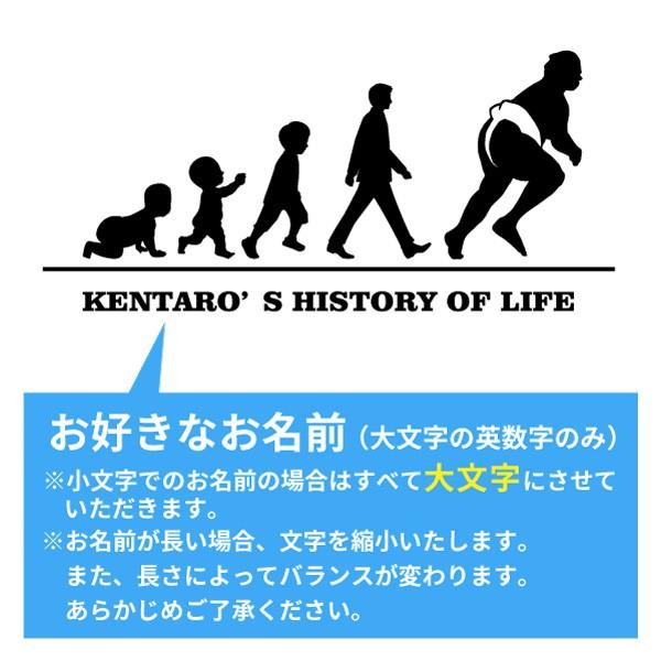 相撲 ドライ Tシャツ 吸汗 速乾 メッシュ オリジナル 名入れ無料