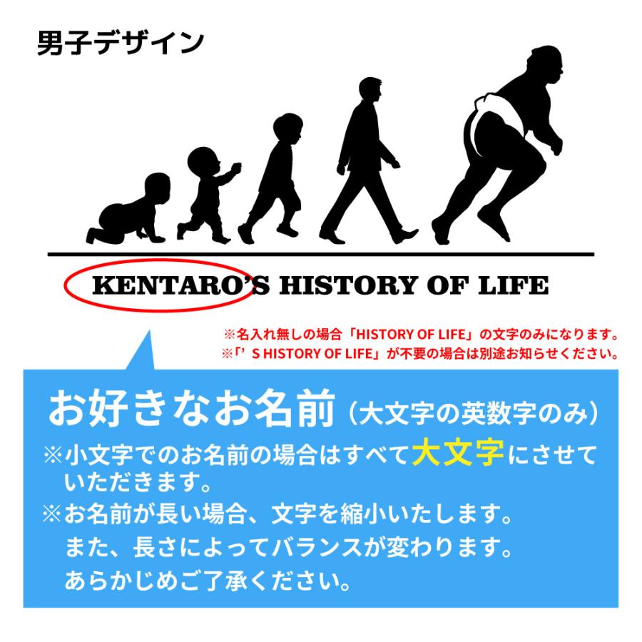 相撲 ドライ Tシャツ 吸汗 速乾 メッシュ オリジナル 名入れ無料 (HOL