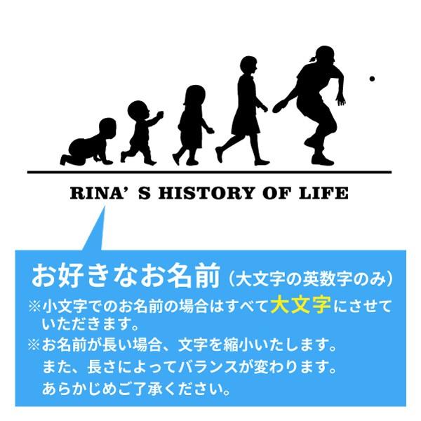卓球 ｔシャツ ドライ 3l 4l 5l 名入れ レディース 女 チーム Hol 女子 B S3 Dt009w B デザインジャンクション 通販 Yahoo ショッピング