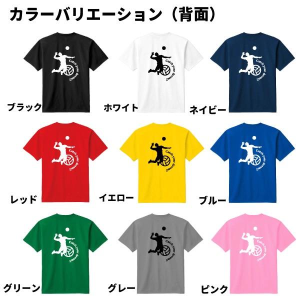 バレー ドライ Tシャツ 吸汗 速乾 メッシュ オリジナル 名入れ無料