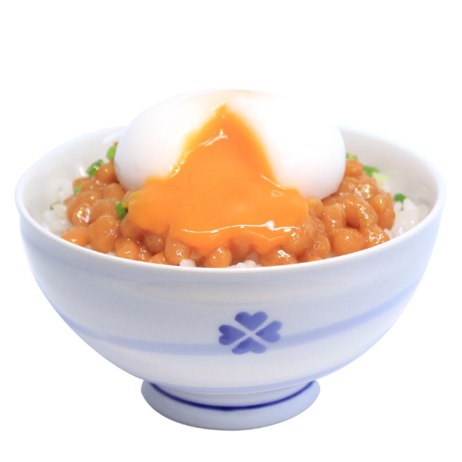 食品サンプル 展示用 温玉のせ納豆ご飯 卵かけご飯 業務用 オブジェ 職人手作り 置き物 店舗 国産 店舗用品 送料無料 デザインポケット 通販 Yahoo ショッピング