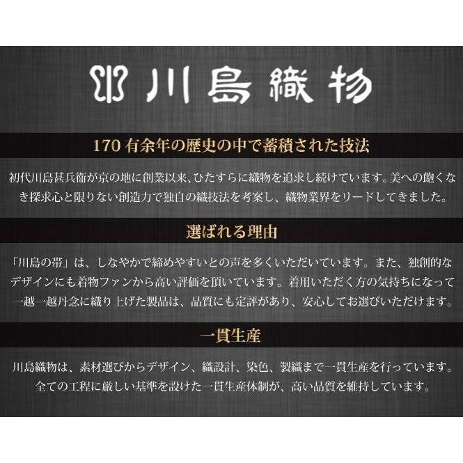 割引クーポン 川島織物セルコン 和装 帯 着物 夏袋なごや帯 羅 川島織物セルコン 1na 松葉全かがり仕立上り 送料無料 涼然 黒 帯 Williamsav Com
