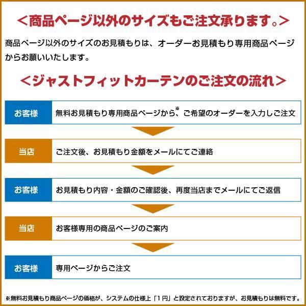 ドレープカーテン 受注生産品 1.5倍ヒダ ウォッシャブル 防炎 形態安定プリーツ 遮光 フォンディ 巾100X丈135cm 川島織物セルコン 送料無料 DF1123S｜designport｜10