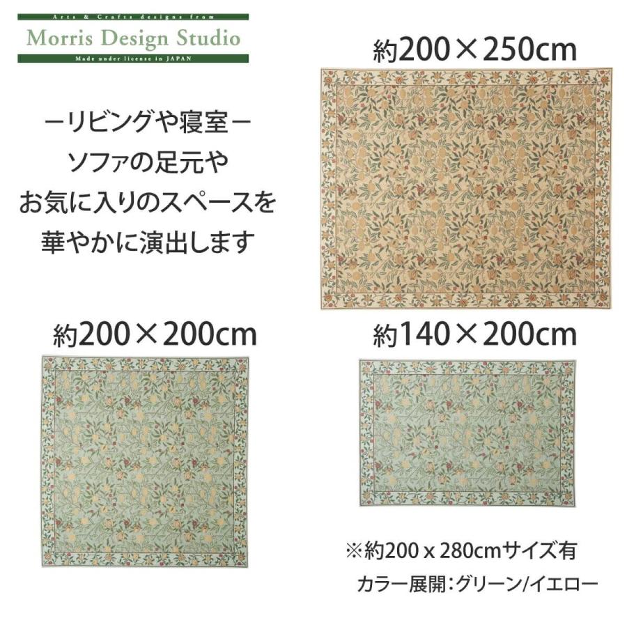 ラグ MORRIS ウィリアムモリス フルーツ 200cm×240cm おしゃれ 高級 ブランド リビング 長方形 2帖 3帖 川島織物セルコン KF1706Aの画像