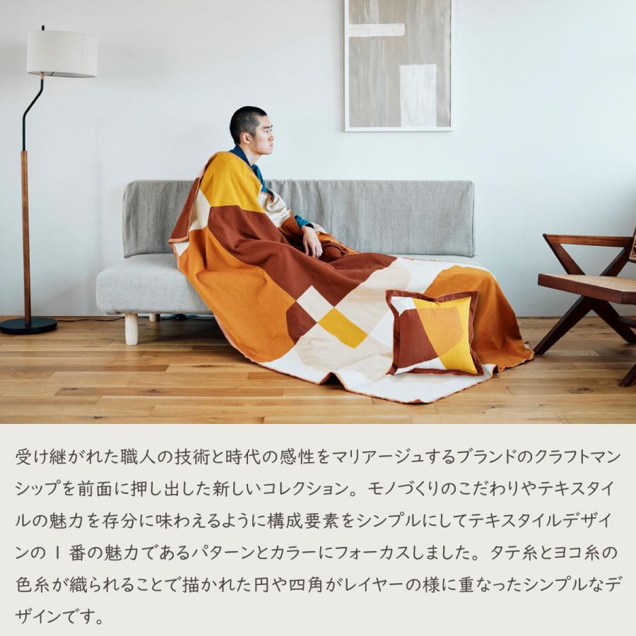 背当クッションカバー（カバー・中材セット）45×45cm 日本製 コットン100% rough ラフ エントアカネ 圧縮ポリエステル パンヤ オリジナル 川島織物セルコンの画像