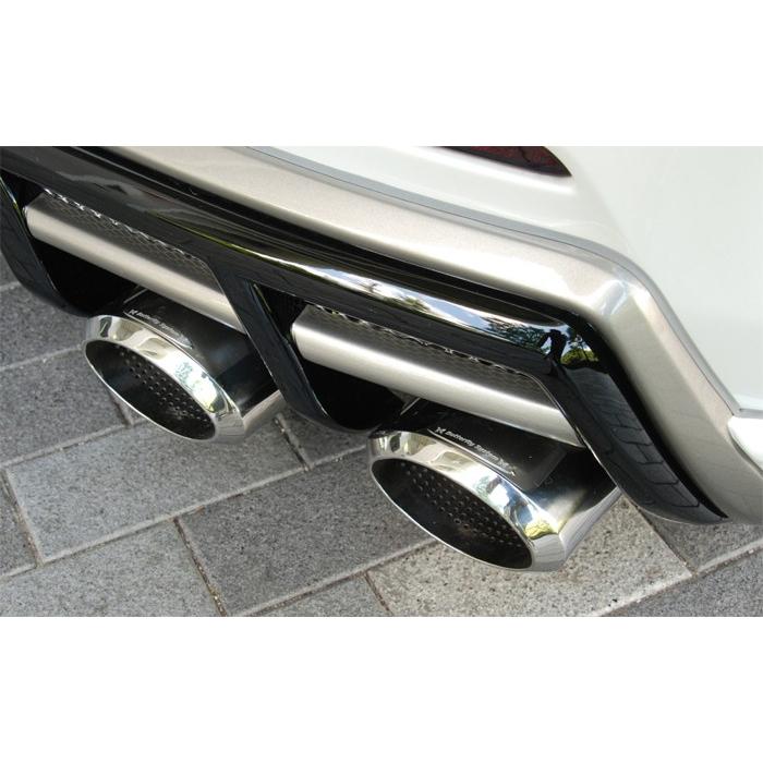 Butterfly System バタフライシステム GLANZ KRONE ゲーベンマフラー