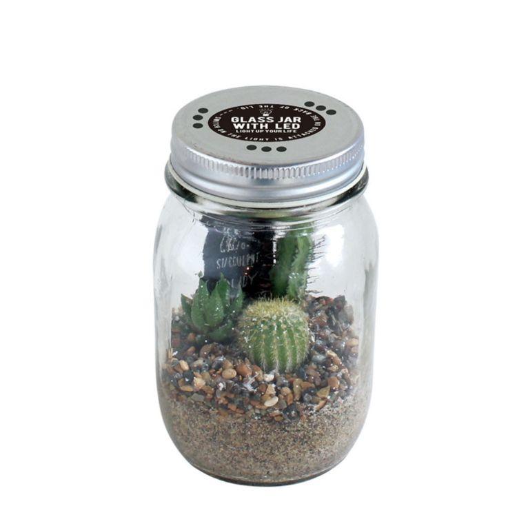 SPICE スパイス GLASS JAR WITH LED SABOTEN L SIZE 8S07 8個 | ガーデン 植物 サボテン 多肉