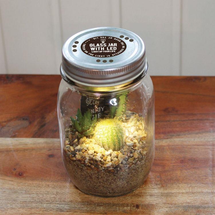 SPICE スパイス GLASS JAR WITH LED SABOTEN L SIZE 8S07 8個 | ガーデン 植物 サボテン 多肉_1