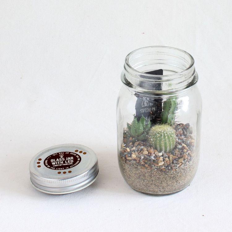 SPICE スパイス GLASS JAR WITH LED SABOTEN L SIZE 8S07 8個 | ガーデン 植物 サボテン 多肉_2