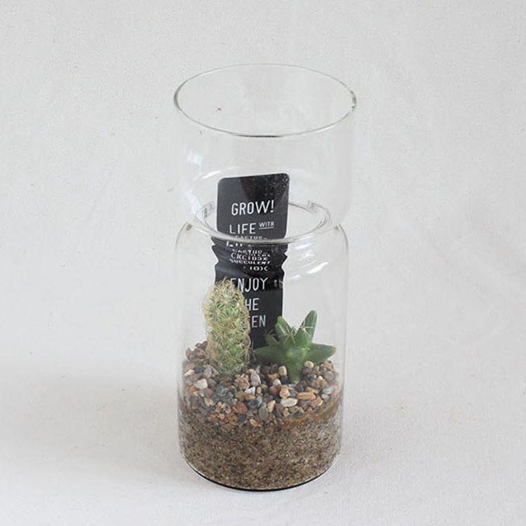 SPICE スパイス LABO GLASS SABOTEN 8S11 8個 | ガーデン 植物 サボテン 多肉