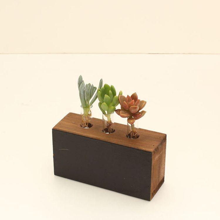 Spice スパイス ブラックボードベース 水耕サボテン 8s16 12個 ガーデン 植物 サボテン 多肉 試験管風 フラワーベース 水耕栽培 Sp 8s16 Desir De Vivre 通販 Yahoo ショッピング