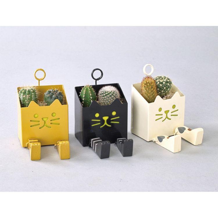 SPICE スパイス SPICE OF LIFE ブリキ脚付きサボテン CAT 8S38 12個 | ガーデン 植物 サボテン 多肉 かわいい 猫型 脚付き 猫耳 CAT