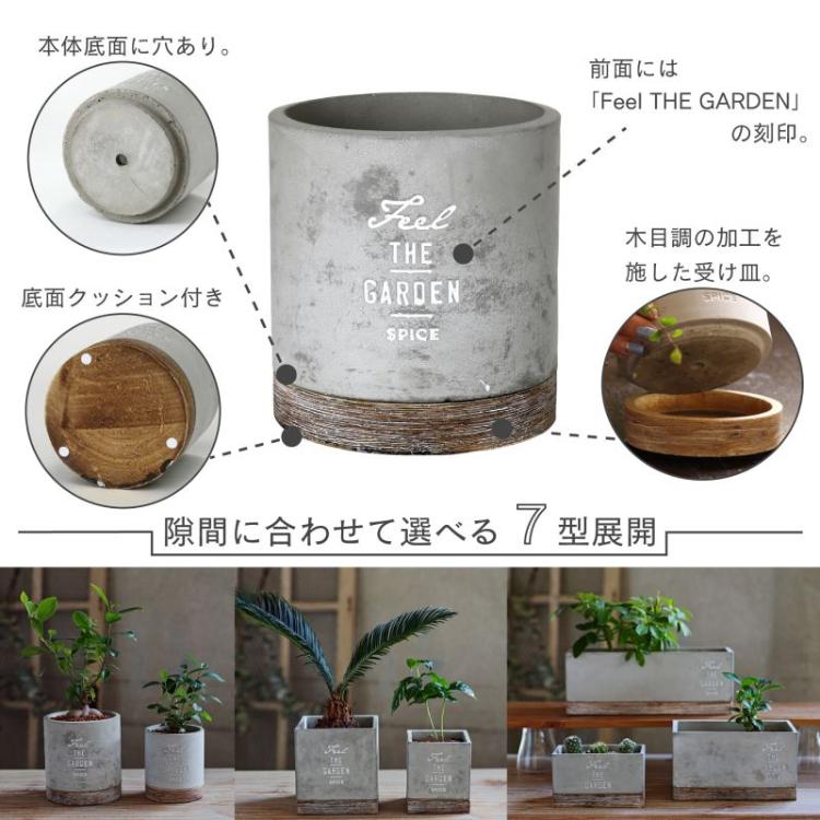 SPICE スパイス OF LIFE FEEL THE GARDEN セメントプランター ラウンド