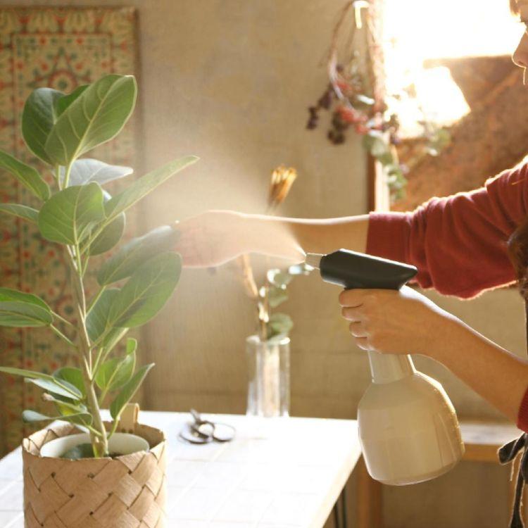 Spice スパイス Spice Of Life 電池式オートスプレー クリーム 1l 1リットル Gsgz1010cr ガーデン ガーデニング 道具 スプレー ボタン 噴霧 スプレー 水やり Sp Gsgz1010cr Desir De Vivre 通販 Yahoo ショッピング