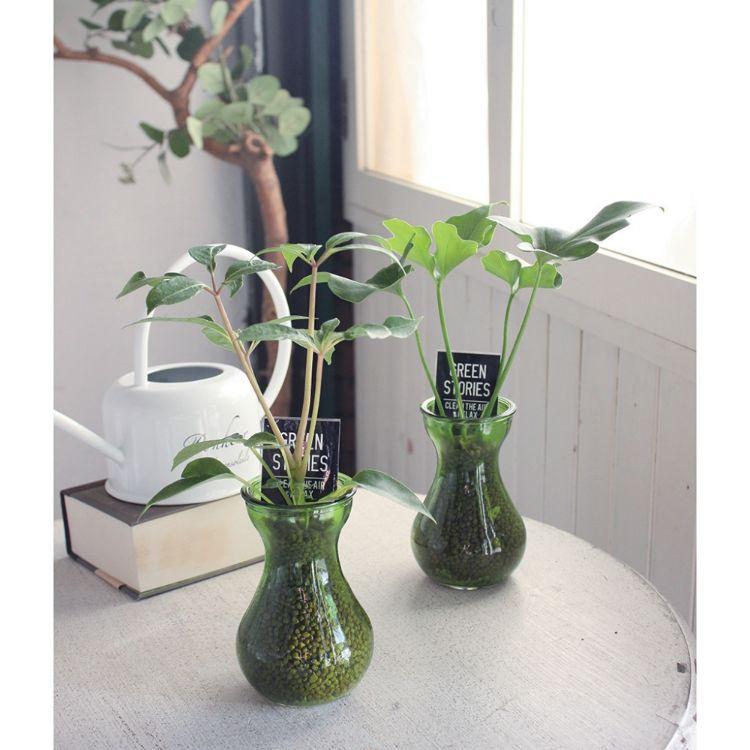 SPICE スパイス TINYVASE セラグリーン HAK16019 12個 | ガーデン 植物 観葉植物 ボリューム感 爽やか 水耕栽培 TINYVASE HAK16019