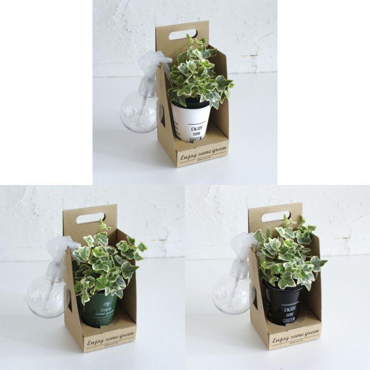 SPICE スパイス SPICE OF LIFE スプレー付ENJOYGREEN アクアテラポットBOX 7 HAK17023-BOX 12個 | ガーデン 植物 観葉植物 シンプル ポット アクアテラポット SPICE OF LIFE スプレー付ENJOYGREEN アクアテラポットBOX HAK17023 BOX