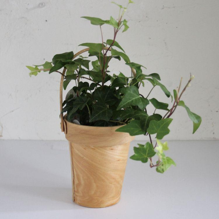 SPICE スパイス SPICE OF LIFE メルカートバスケット アクアテラポット 10.5 HAK18012 12個 | ガーデン 植物 観葉植物 底面給水 アクアテラポット グリーン