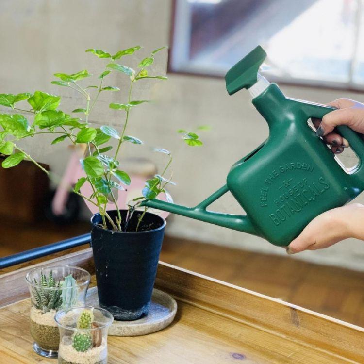 Spice スパイス Spice Of Life スプレースプリンクラー グリーン 1 6l 1 6リットル Yygn1000gr ガーデン ガーデニング 道具 スプレー 人気 水やり Sp Yygn1000gr De Desir De Vivre 通販 Yahoo ショッピング