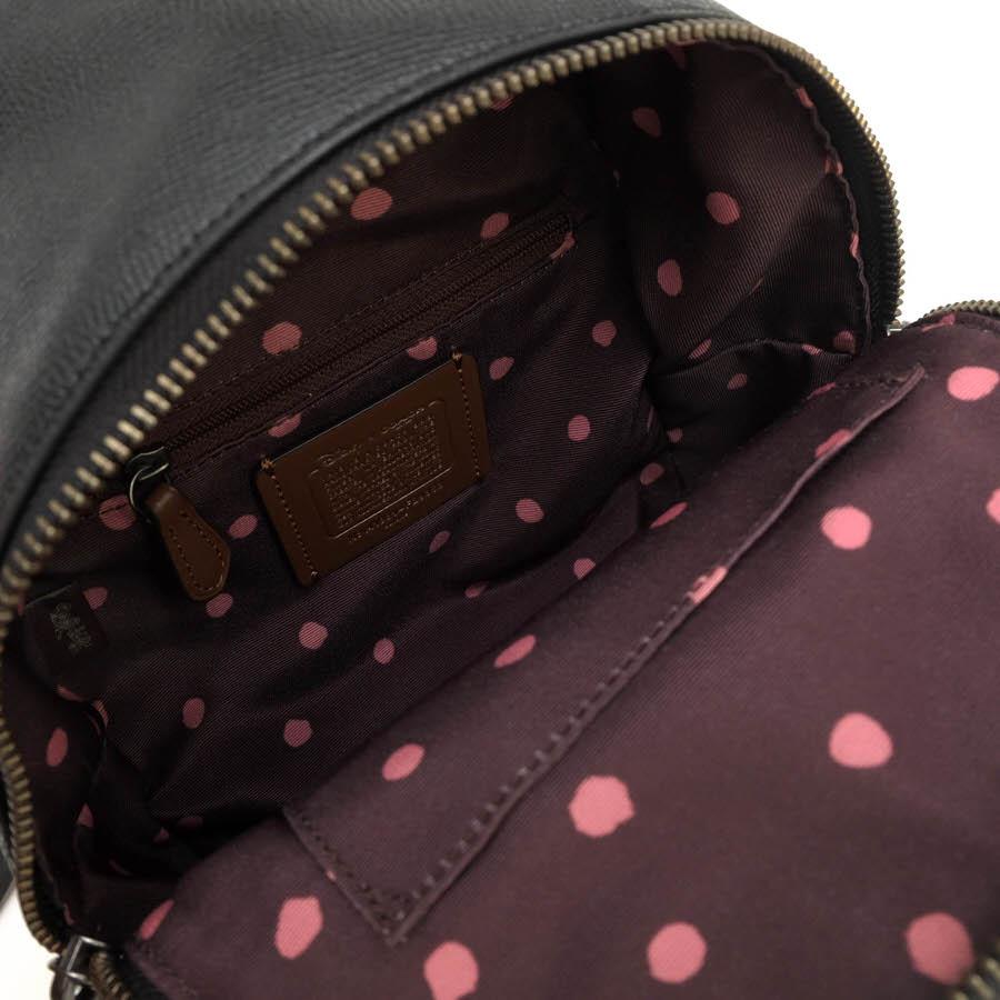 コーチ　ミニリュック COACH コーチ リュック F29353 Mini Charles Backpack With