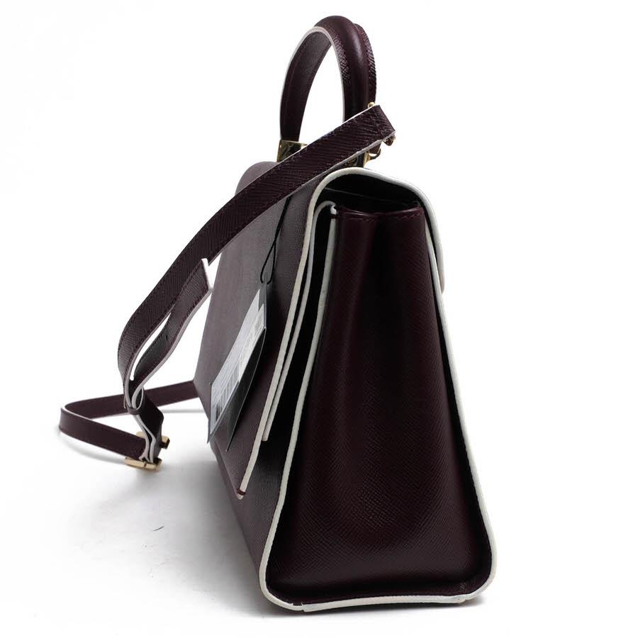 SERAPIAN セラピアン ハンドバッグ Audrey bag Evolution サフィアーノ 