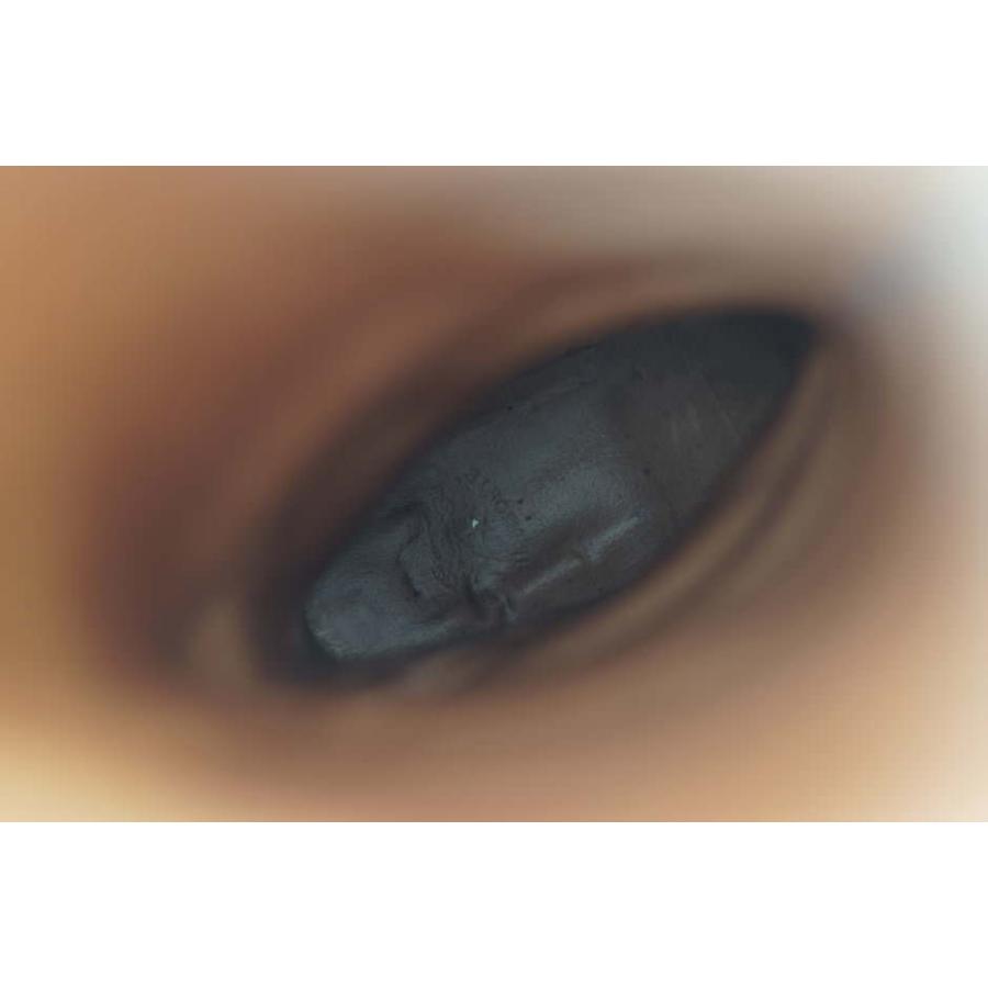 IL BISONTE（イルビゾンテ） ブーツ ロングブーツ 乗馬ブーツ