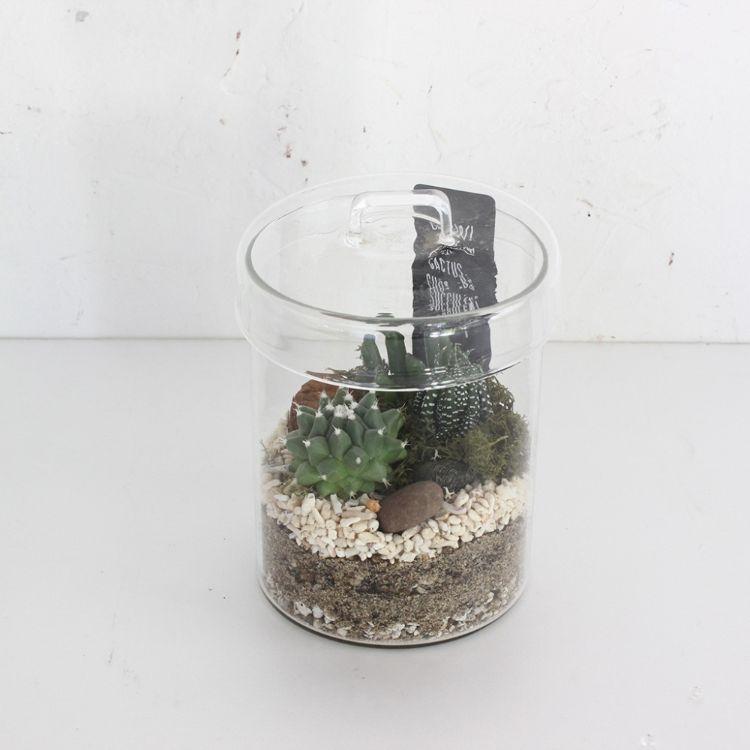 4個 約20cm ガラス花瓶 シリンダー型 水槽 テラリウム 観賞魚 多肉植物