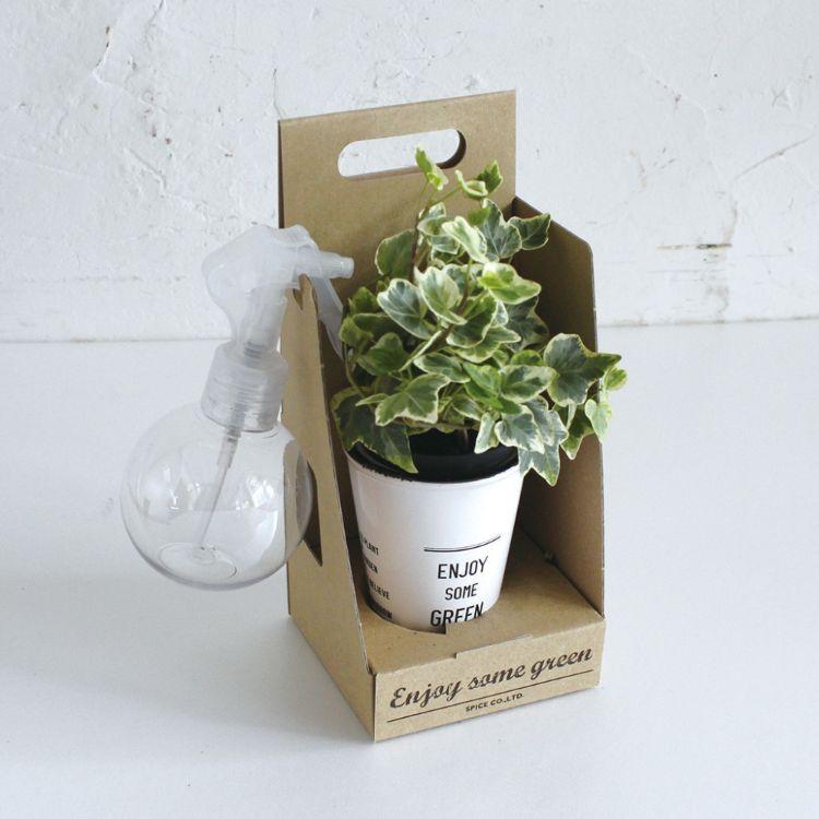 SPICE スパイス SPICE OF LIFE スプレー付ENJOYGREEN アクアテラポットBOX 7 HAK17023-BOX 12個 | ガーデン 植物 観葉植物 シンプル ポット アクアテラポット SPICE OF LIFE スプレー付ENJOYGREEN アクアテラポットBOX HAK17023 BOX