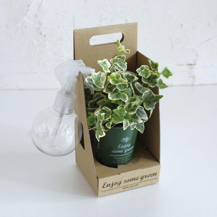 SPICE スパイス SPICE OF LIFE スプレー付ENJOYGREEN アクアテラポットBOX 7 HAK17023-BOX 12個 | ガーデン 植物 観葉植物 シンプル ポット アクアテラポット SPICE OF LIFE スプレー付ENJOYGREEN アクアテラポットBOX HAK17023 BOX