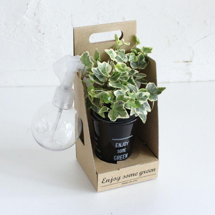SPICE スパイス SPICE OF LIFE スプレー付ENJOYGREEN アクアテラポットBOX 7 HAK17023-BOX 12個 | ガーデン 植物 観葉植物 シンプル ポット アクアテラポット SPICE OF LIFE スプレー付ENJOYGREEN アクアテラポットBOX HAK17023 BOX