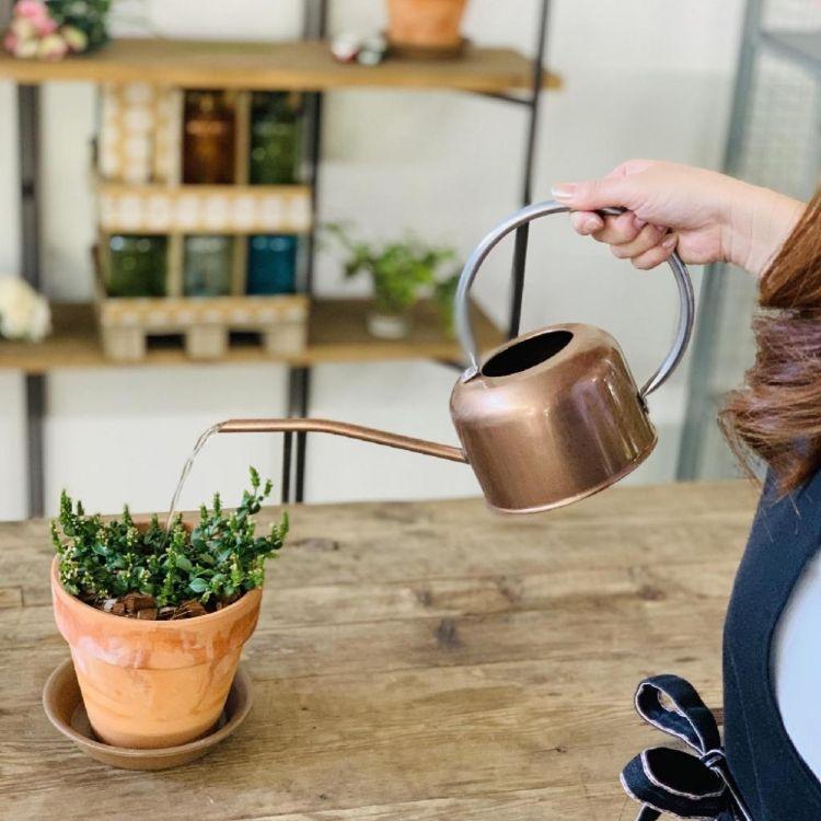 SPICE スパイス OF LIFE LITRE ブリキジョーロ 細口 ブロンズ 1L