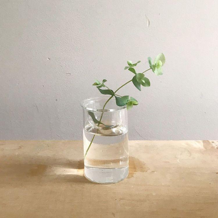 SPICE スパイス OF LIFE MINI BULB VASE 水栽培ガラスベース クリア