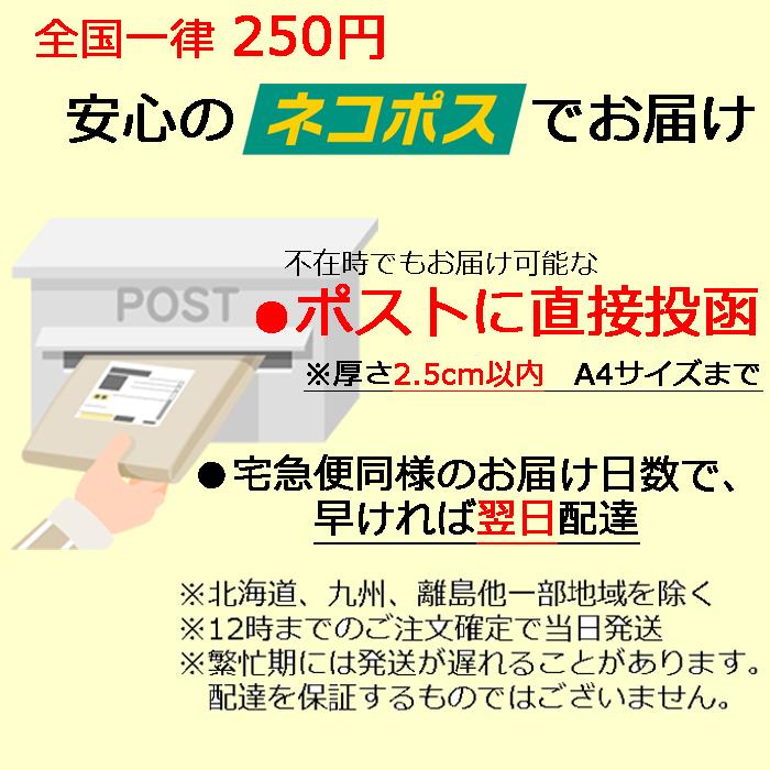 DELFONICS（デルフォニックス） ロルバーン ダイアリー M 2025年3月