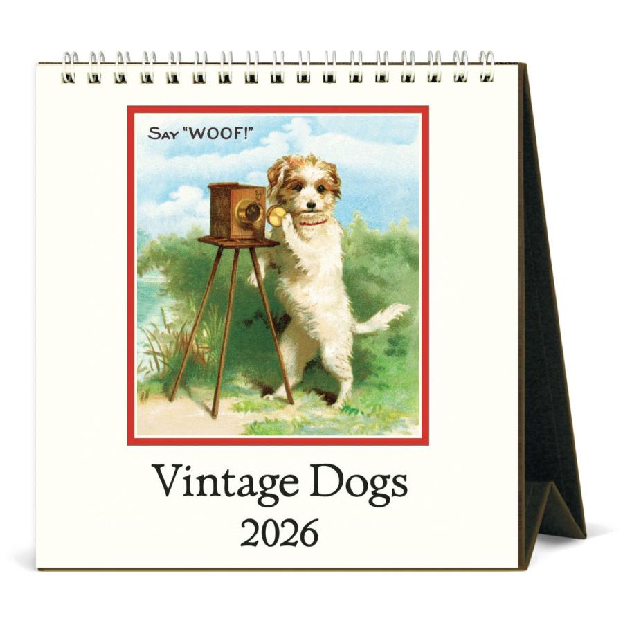 カバリーニ 2026年 カレンダー 卓上 VintageDogs ヴィンテージ ドッグ
