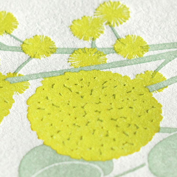 ミモザ（MIMOSA） ミドリ midori レターセット 活版印刷 ブーケ 大人