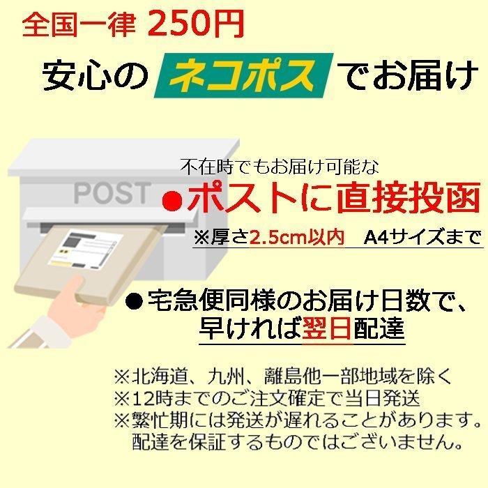 ハイタイド PENCO ペンコ キャリータイトケース S おしゃれ 収納ケース ペンケース 小物入れ HIGHTIDE gp088｜desklabo｜19