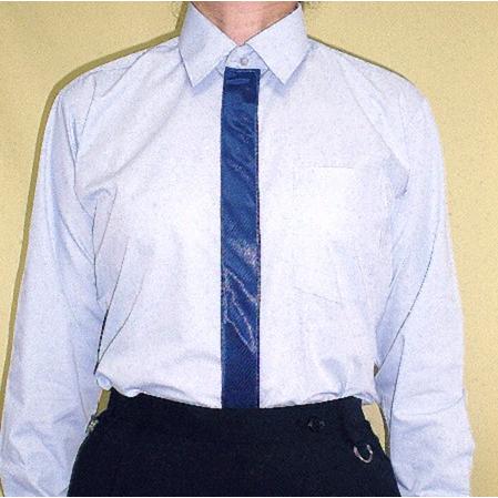 シャツ　水色　ブルーストライプ　おしゃれユニフォーム　レディースシャツ　メンズシャツ　長袖半袖　２Ｓ　Ｓ　Ｍ　Ｌ　２Ｌ　３Ｌ　４Ｌ｜dessert-store