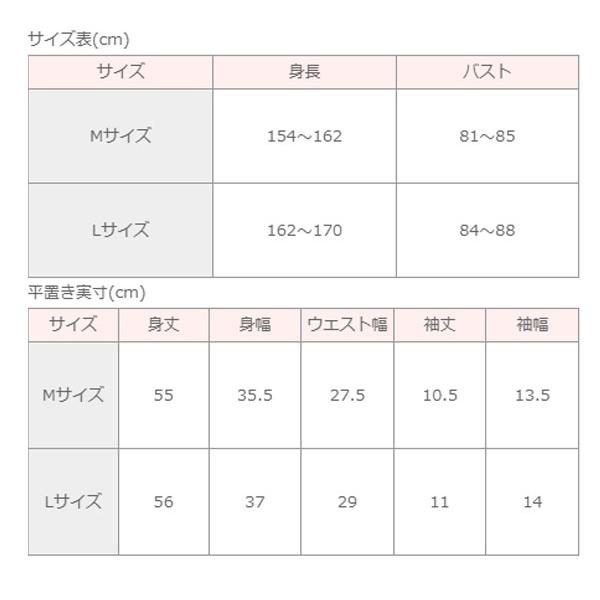 バレエ 大人 シャンデリーレース・半袖レイヤードレオトップ レッスン
