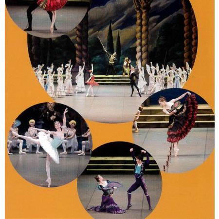 バレエ DVD+BOOK 新国立劇場バレエ団オフィシャルDVDBOOKS ドン