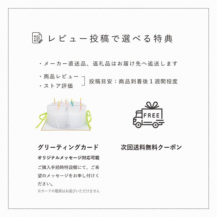 エアバギー　キック＆スクート 　ブレーキ付キックバイク　特典あり 　二輪車　バランス　 コンパクト　キック　ランニングバイク 　AirBuggy公式取扱販売店 |  | 19