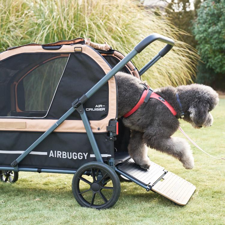 Cube エアバギー エアクルーザーセット 特典あり 超大型ペット向け