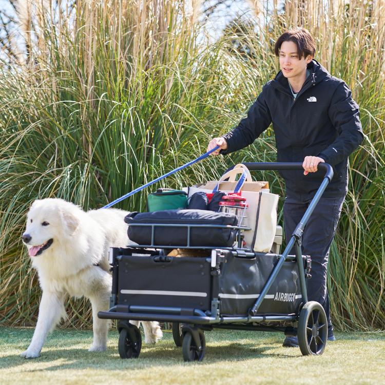 Cube エアバギー エアクルーザーセット 特典あり 超大型ペット向け
